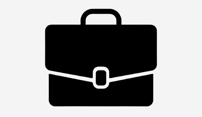 Briefcase Icon